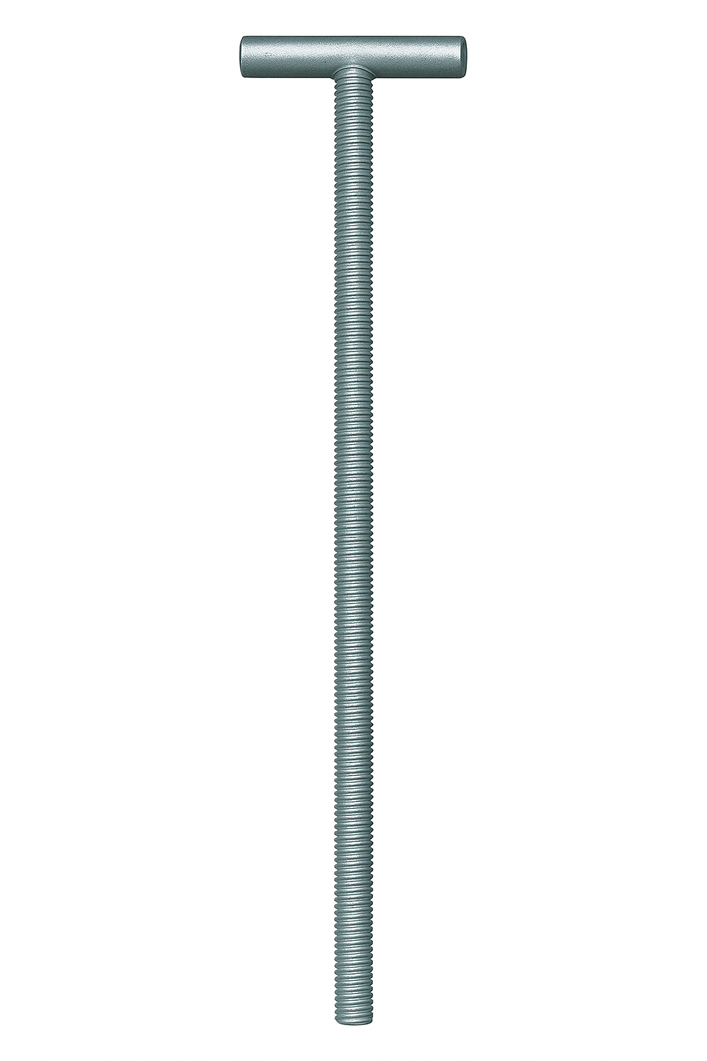 Tij 50cm